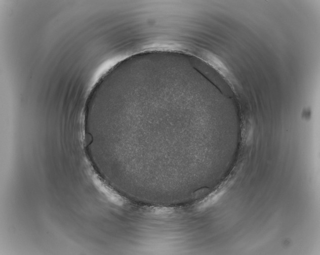 X0000089951030200707201921