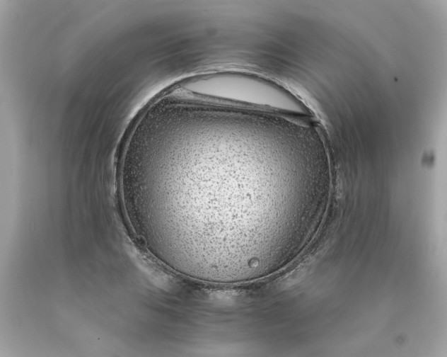 X0000089951031200707201921