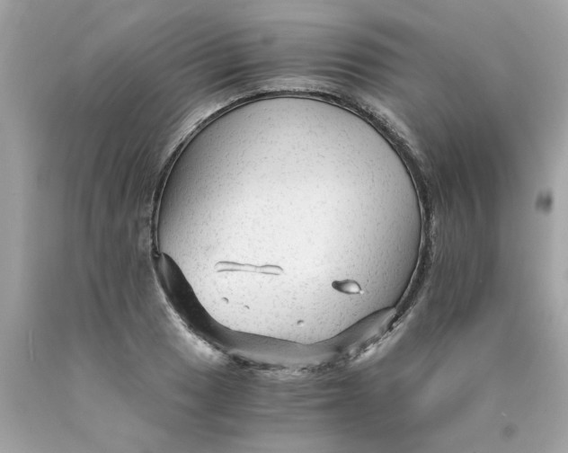 X0000089951033200707201921