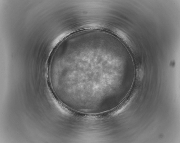 X0000089951034200707201921