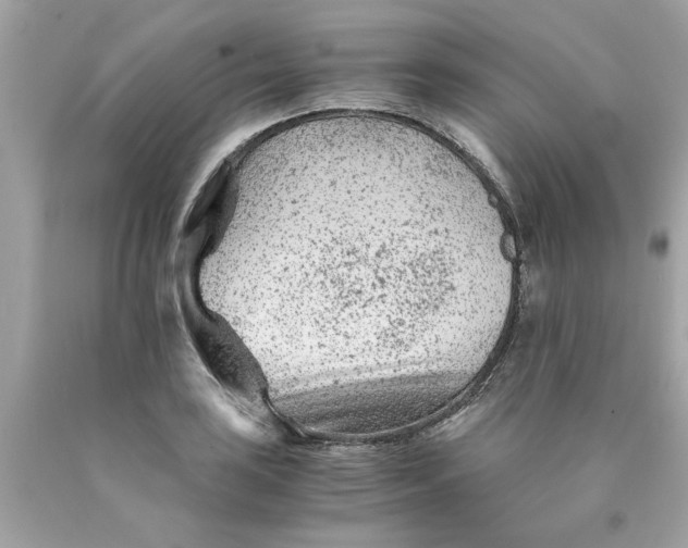 X0000089951035200707201921