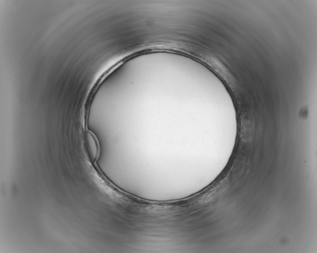 X0000089951036200707201921