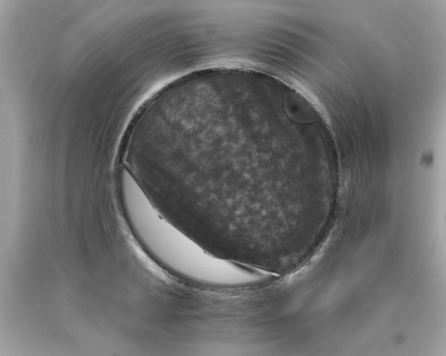 X0000089951037200707201921