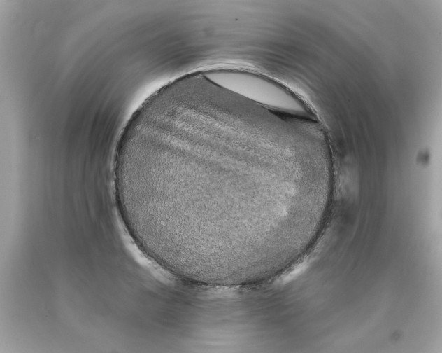 X0000089951038200707201921