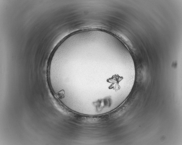 X0000089951039200707201921