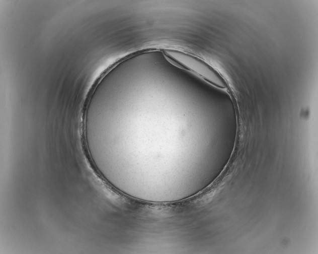 X0000089951040200707201921