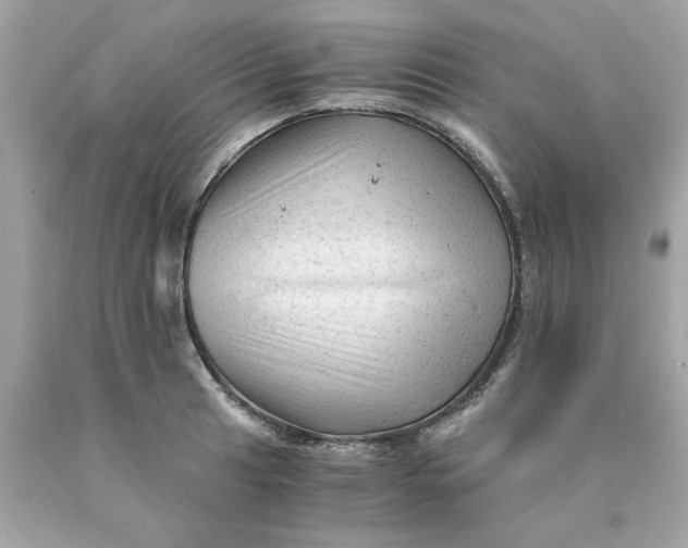 X0000089951041200707201921