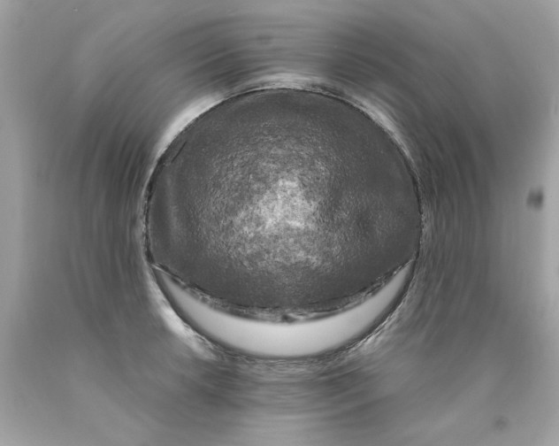 X0000089951042200707201921