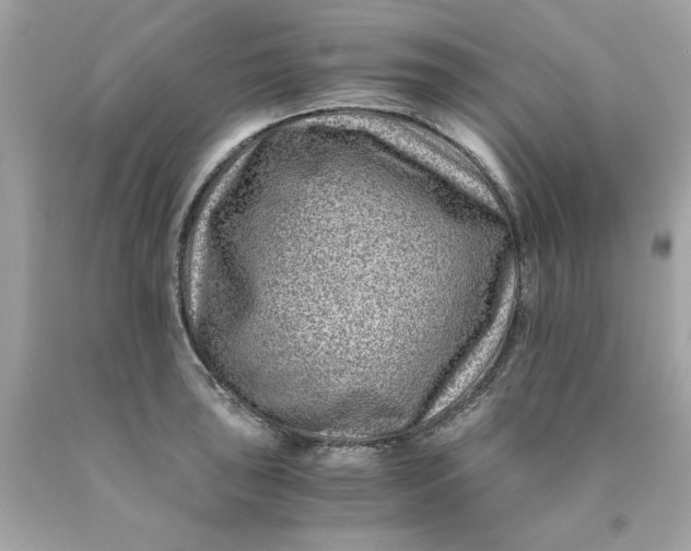 X0000089951043200707201921