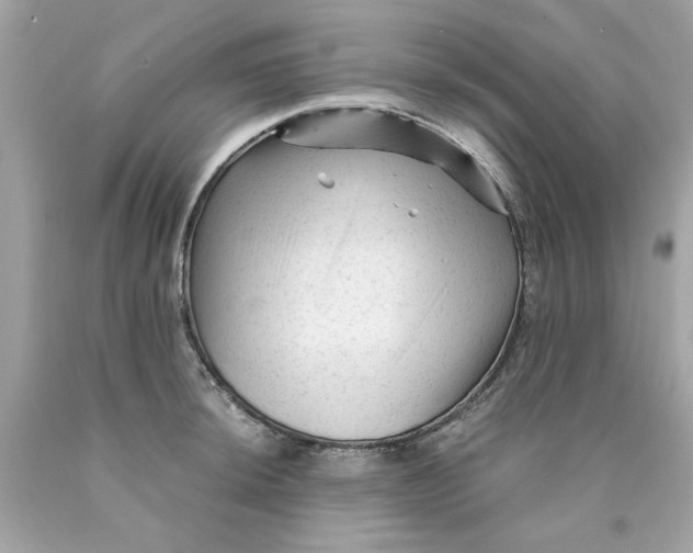 X0000089951044200707201921