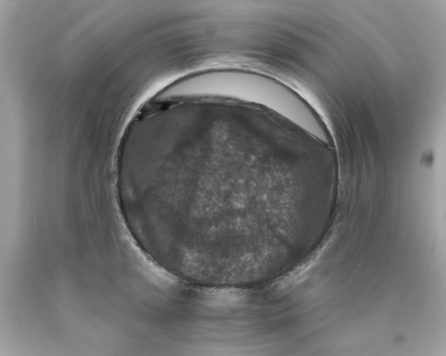 X0000089951045200707201921