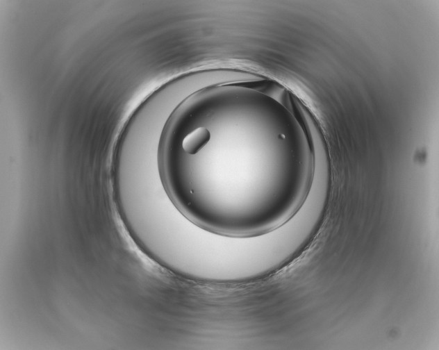 X0000089951046200707201921