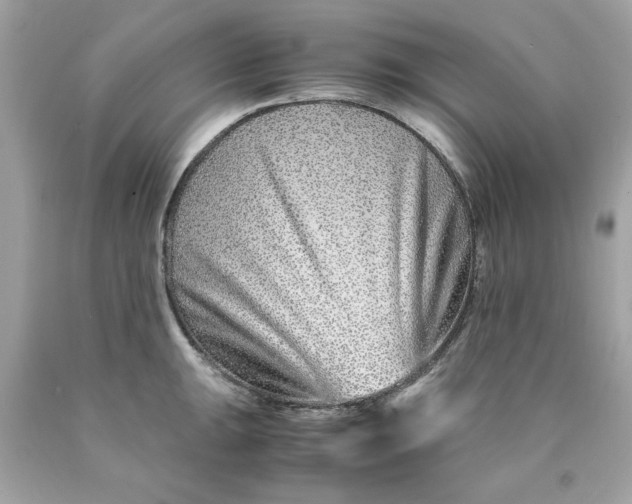 X0000089951047200707201921