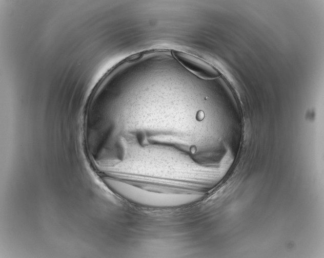 X0000089951048200707201921