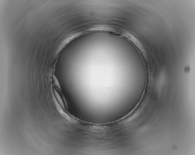 X0000089951049200707201921