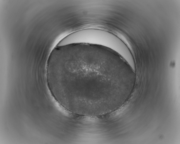 X0000089951050200707201921