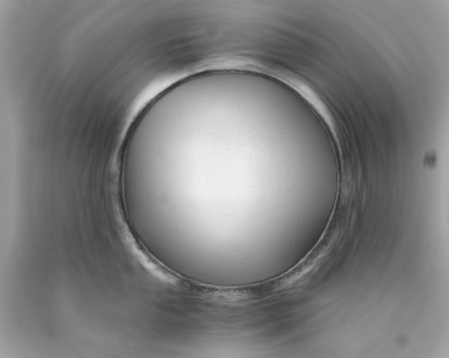 X0000089951053200707201921