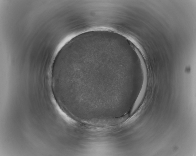 X0000089951054200707201921