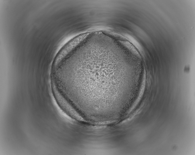 X0000089951055200707201921