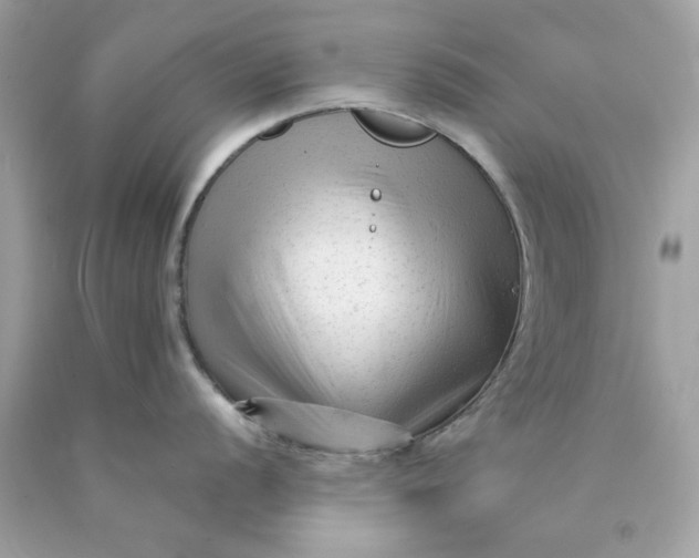 X0000089951056200707201921