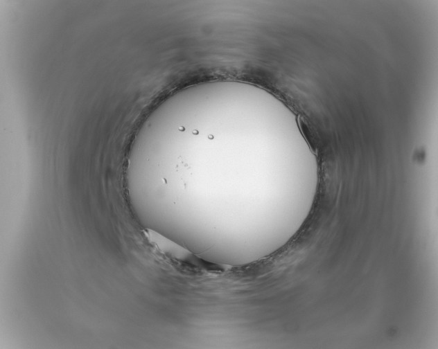 X0000089951057200707201920