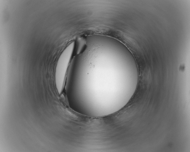 X0000089951058200707201920