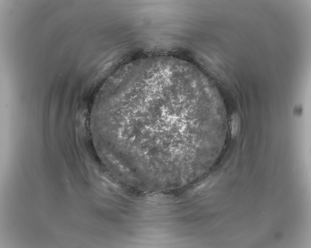 X0000089951059200707201920