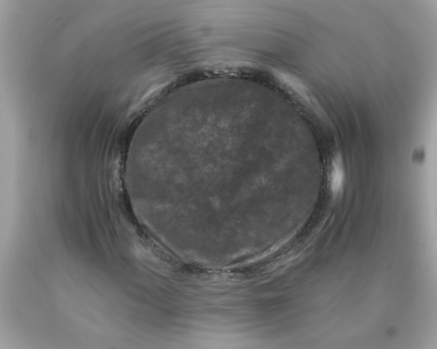 X0000089951060200707201920