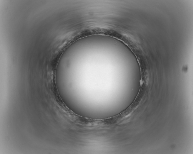 X0000089951061200707201920