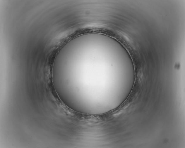 X0000089951062200707201920