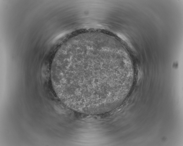 X0000089951063200707201920