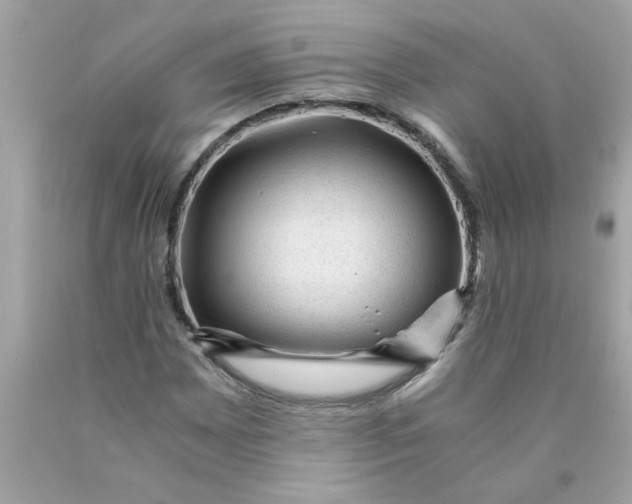 X0000089951065200707201920