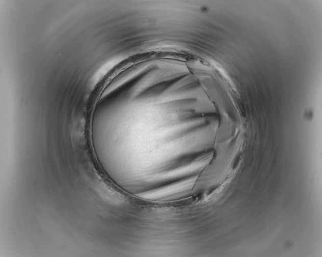 X0000089951066200707201920