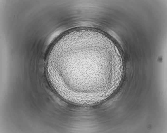 X0000089951067200707201920