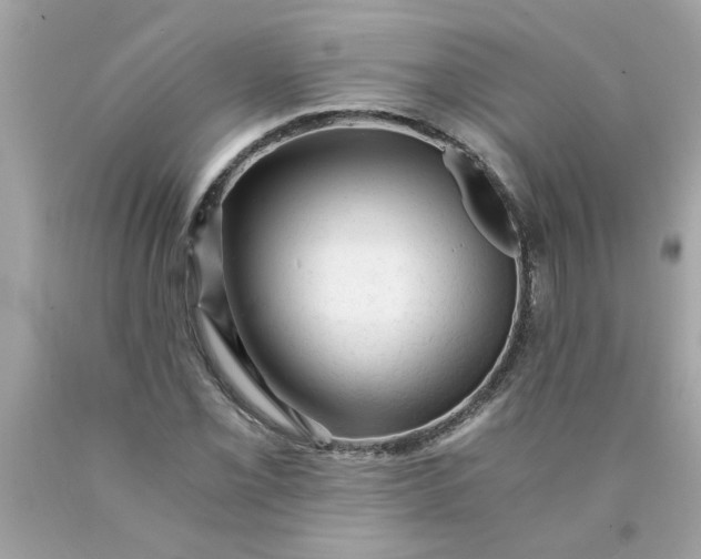 X0000089951069200707201920