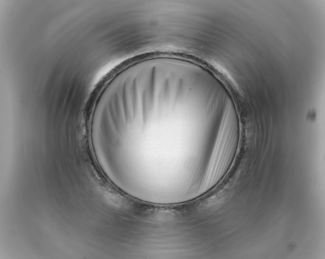 X0000089951070200707201920