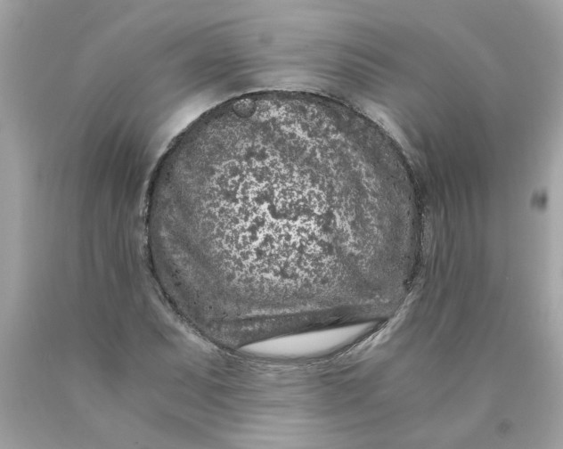 X0000089951071200707201920