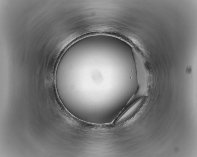 X0000089951073200707201920