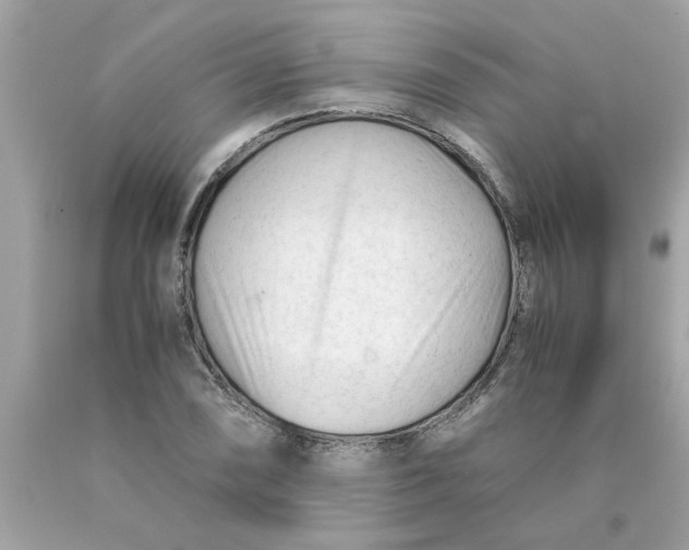 X0000089951074200707201920