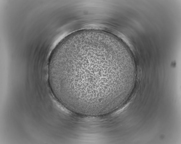 X0000089951075200707201920