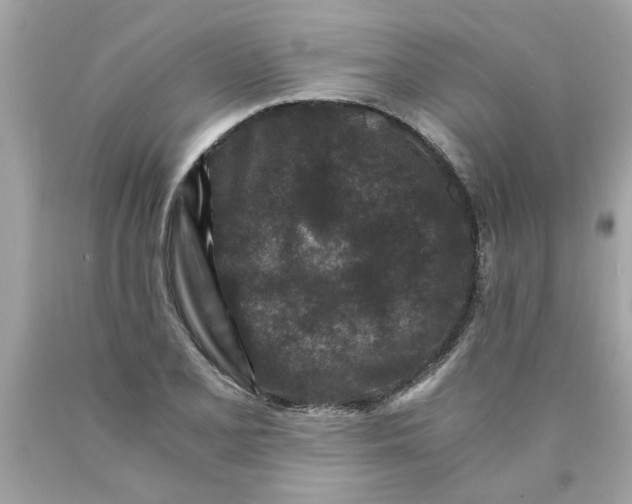 X0000089951077200707201920