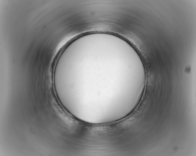 X0000089951078200707201920