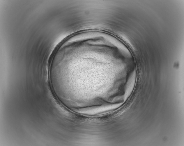 X0000089951079200707201920