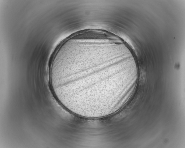 X0000089951080200707201920