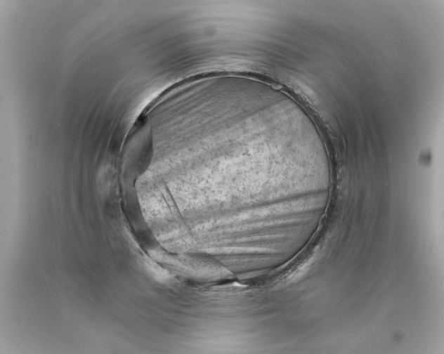 X0000089951081200707201920