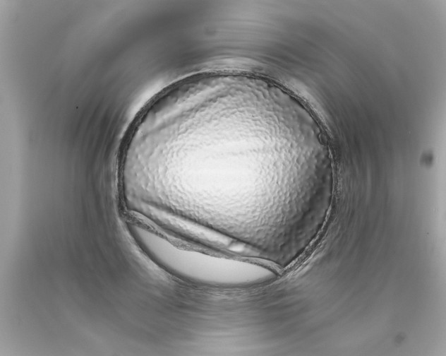 X0000089951083200707201920