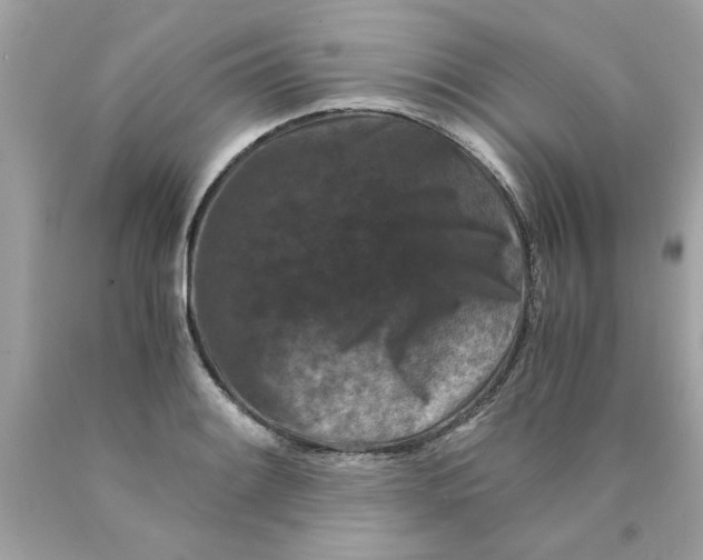 X0000089951084200707201920