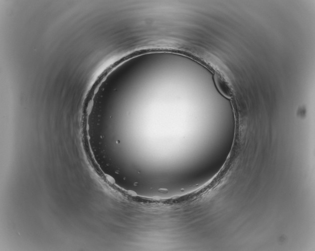 X0000089951085200707201920