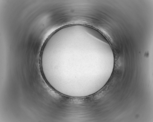 X0000089951086200707201920