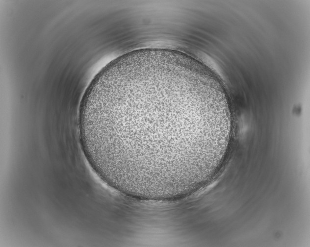 X0000089951087200707201920